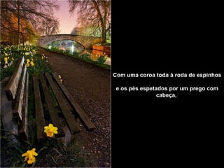 Com uma coroa toda à roda de espinhos   e os pés espetados por um prego com cabeça,   