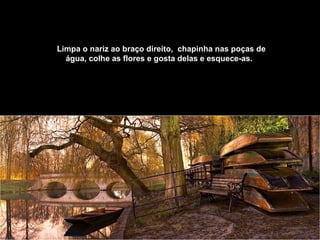 Limpa o nariz ao braço direito,    chapinha nas poças de água, colhe as flores e gosta delas e esquece-as.    