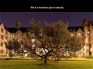 Ele é o humano que é natural,   