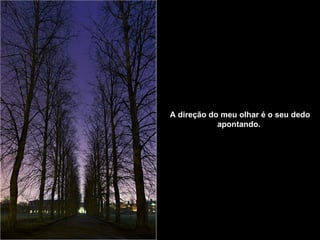 A direção do meu olhar é o seu dedo apontando.   