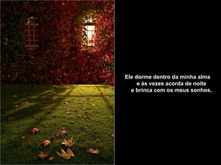 Ele dorme dentro da minha alma        e às vezes acorda de noite        e brinca com os meus sonhos.   