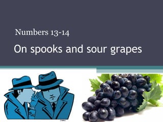 On spooks and sour grapes
Numbers 13-14
 