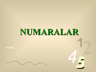013456… 1 2 4 5 NUMARALAR 
