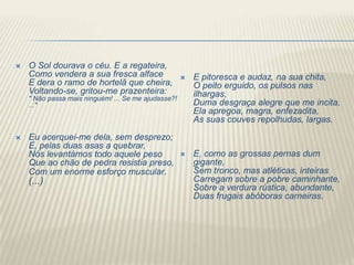    O Sol dourava o céu. E a regateira,
    Como vendera a sua fresca alface                    E pitoresca e audaz, na sua chita,
    E dera o ramo de hortelã que cheira,                 O peito erguido, os pulsos nas
    Voltando-se, gritou-me prazenteira:                  ilhargas,
    " Não passa mais ninguém! ... Se me ajudasse?!
    ..."                                                 Duma desgraça alegre que me incita,
                                                         Ela apregoa, magra, enfezadita,
                                                         As suas couves repolhudas, largas.

   Eu acerquei-me dela, sem desprezo;
    E, pelas duas asas a quebrar,
    Nós levantámos todo aquele peso                     E, como as grossas pernas dum
    Que ao chão de pedra resistia preso,                 gigante,
    Com um enorme esforço muscular.                      Sem tronco, mas atléticas, inteiras
    (...)                                                Carregam sobre a pobre caminhante,
                                                         Sobre a verdura rústica, abundante,
                                                         Duas frugais abóboras carneiras.
 