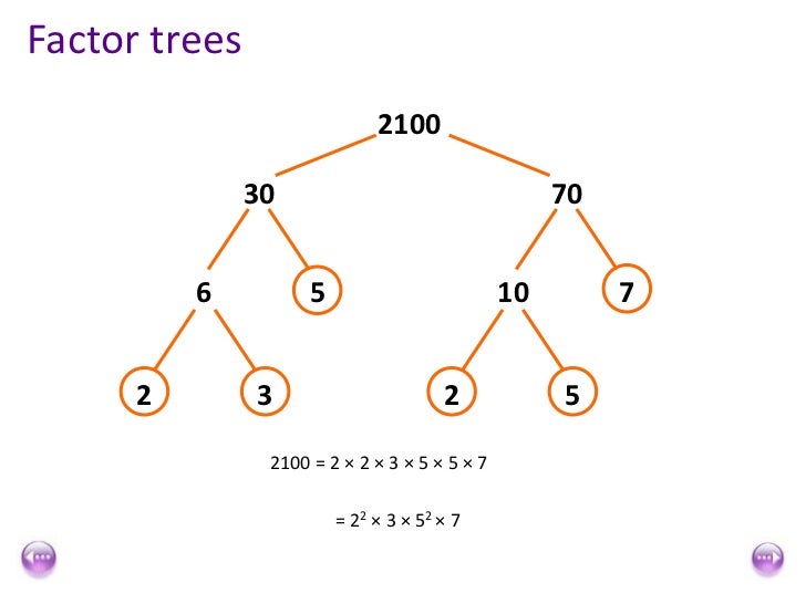 Number.factor tree