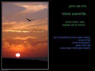 חיה את הרגע . אל  תחשוש מהמחר . אתה חי את ההווה ,  וההווה זה מה שחשוב . האושר האמיתי מורכב מרסיסים בני רגע , חסדים קטנים הנשכחים עד מהרה . נסה לזכור אותם ולעשות אותם לאלה שאתה אוהב . 