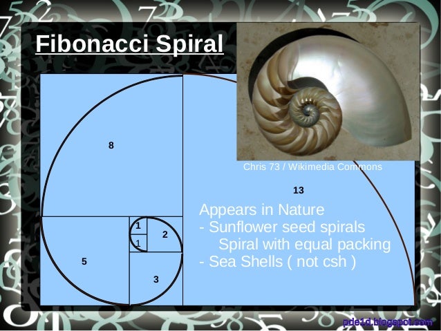 Uses Of Prime Numbers In Nature Uses Of Prime Numbers In Nature
