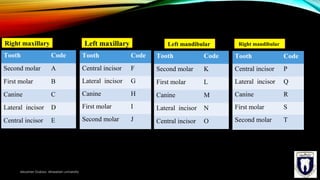 Numbering system dental anatomy | PPT