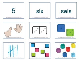 6 six seis
© www.thecurriculumcorner.com
© www.thecurriculumcorner.com © www.thecurriculumcorner.com
© www.thecurriculumcorner.com
© www.thecurriculumcorner.com © www.thecurriculumcorner.com
© www.thecurriculumcorner.com
© www.thecurriculumcorner.com © www.thecurriculumcorner.com
 