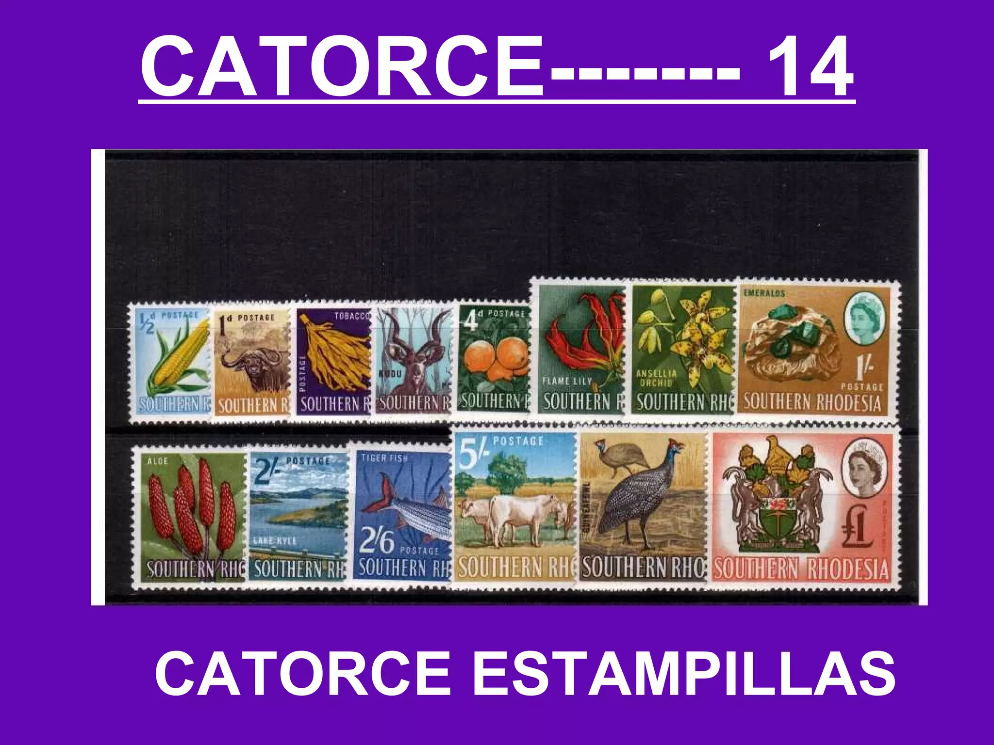 CATORCE------- 14




CATORCE ESTAMPILLAS
 