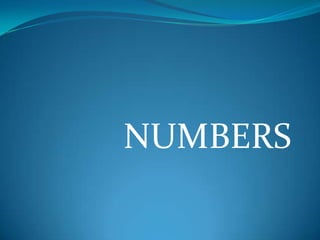 NUMBERS
 