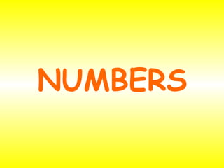 NUMBERS
 