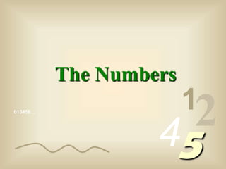 013456…
1
245
The Numbers
 