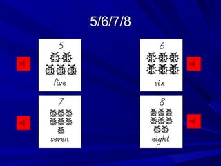 5/6/7/8 