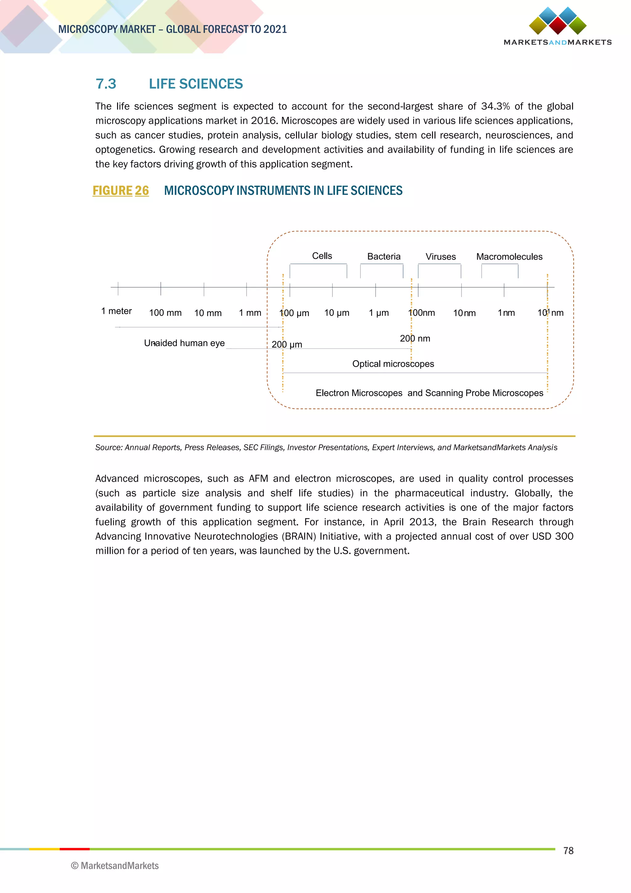 78
MICROSCOPY MARKET – GLOBAL FORECAST TO 2021
© MarketsandMarkets
7.3 LIFE SCIENCES
The life sciences segment is expected to account for the second-largest share of 34.3% of the global
microscopy applications market in 2016. Microscopes are widely used in various life sciences applications,
such as cancer studies, protein analysis, cellular biology studies, stem cell research, neurosciences, and
optogenetics. Growing research and development activities and availability of funding in life sciences are
the key factors driving growth of this application segment.
FIGURE 26 MICROSCOPY INSTRUMENTS IN LIFE SCIENCES
Source: Annual Reports, Press Releases, SEC Filings, Investor Presentations, Expert Interviews, and MarketsandMarkets Analysis
Advanced microscopes, such as AFM and electron microscopes, are used in quality control processes
(such as particle size analysis and shelf life studies) in the pharmaceutical industry. Globally, the
availability of government funding to support life science research activities is one of the major factors
fueling growth of this application segment. For instance, in April 2013, the Brain Research through
Advancing Innovative Neurotechnologies (BRAIN) Initiative, with a projected annual cost of over USD 300
million for a period of ten years, was launched by the U.S. government.
1 meter 100 mm 10 mm 1 mm 100 µm 10 µm 1 µm 100nm 10nm 1nm 10-1nm
200 µm
Electron Microscopes and Scanning Probe Microscopes
Optical microscopes
Un-aided human eye
Cells Bacteria Viruses Macromolecules
200 nm
 