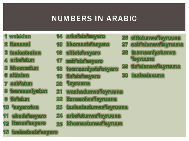 Numbers 1-30 in four languages