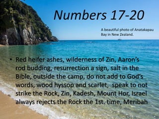Numbers 17-20 
A beautiful photo of Anatakapau 
Bay in New Zealand. 
• Red heifer ashes, wilderness of Zin, Aaron’s 
rod budding, resurrection a sign, salt in the 
Bible, outside the camp, do not add to God’s 
words, wood hyssop and scarlet, speak to not 
strike the Rock, Zin, Kadesh, Mount Hor, Israel 
always rejects the Rock the 1st. time, Meribah 
 