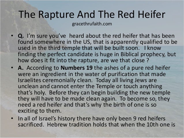 red heifer, red heifer,,, Numbers-1720-red-heifer-ashes-zin-rod-budding-resurrection-a-sign-salt-covenant-outside-the-camp-scarlet-speak-rock-zin-kadesh-hor-rejects-the-rock-meribah-33-638