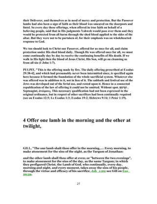 Numbers 28 Commentary