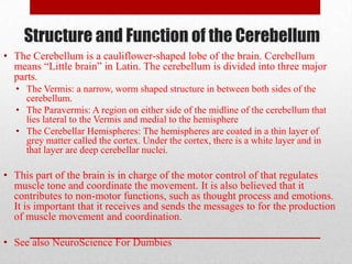 Structure and Function of the Cerebellum
• The Cerebellum is a cauliflower-shaped lobe of the brain. Cerebellum
  means “Little brain” in Latin. The cerebellum is divided into three major
  parts.
  • The Vermis: a narrow, worm shaped structure in between both sides of the
    cerebellum.
  • The Paravermis: A region on either side of the midline of the cerebellum that
    lies lateral to the Vermis and medial to the hemisphere
  • The Cerebellar Hemispheres: The hemispheres are coated in a thin layer of
    grey matter called the cortex. Under the cortex, there is a white layer and in
    that layer are deep cerebellar nuclei.

• This part of the brain is in charge of the motor control of that regulates
  muscle tone and coordinate the movement. It is also believed that it
  contributes to non-motor functions, such as thought process and emotions.
  It is important that it receives and sends the messages to for the production
  of muscle movement and coordination.

• See also NeuroScience For Dumbies
 