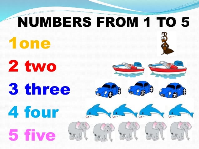 Numbers and Letters in English Numbers and Letters in English