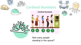 Telling Numbers and Counting beginner.pdf