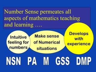 Number Sense permeates all aspects of mathematics teaching and learning …. Make sense of Numerical situations Intuitive feeling for numbers Develops with experience NSN  PA  M  GSS  DMP 