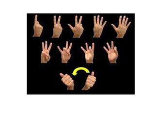 Numbers 56 Asl Numbers in ASL | PPTX