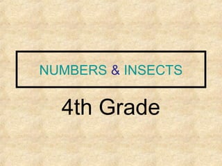 NUMBERS & INSECTS

4th Grade

 