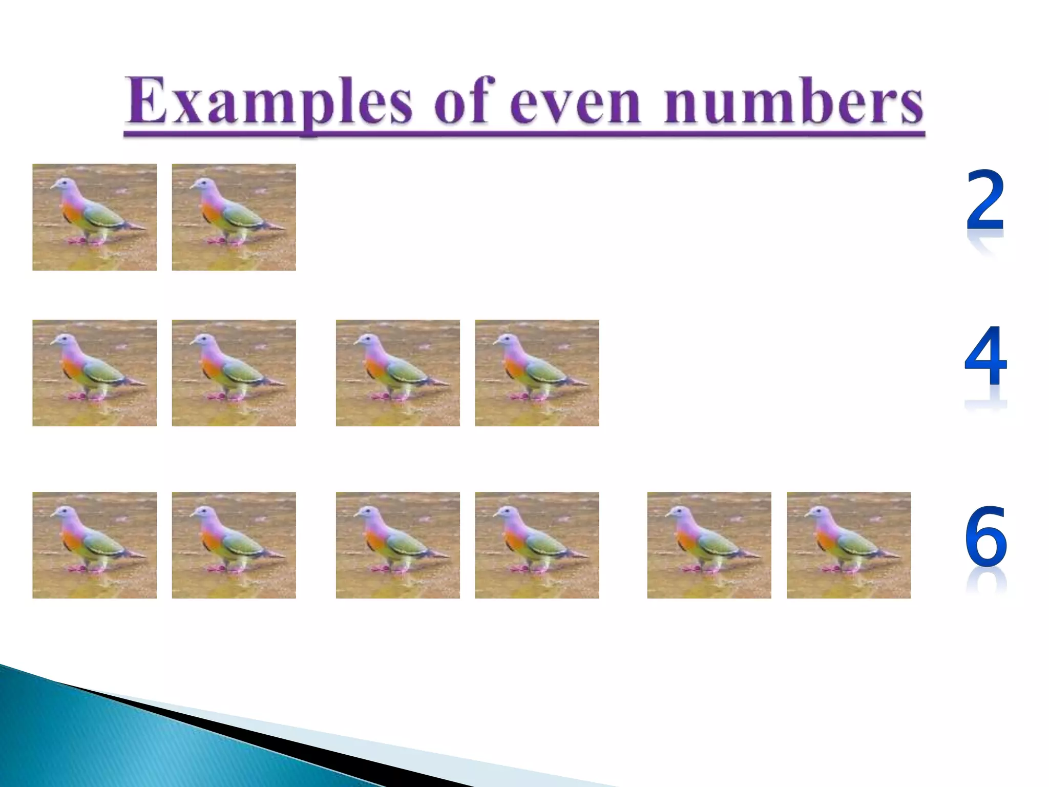 Numbers ppt | PPTX | Computing | Technology & Computing