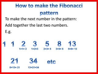 To make the next number in the pattern:
Add together the last two numbers.
E.g.
 
