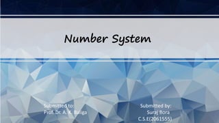 Number System
Submitted to: Submitted by:
Prof. Dr. A. K. Baliga Suraj Bora
C.S.E(2061555)
 