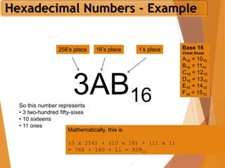 Number Systems | PDF