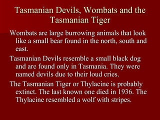 Tasmanian Devils, Wombats and the Tasmanian Tiger Wombats are large burrowing animals that look like a small bear found in the north, south and east. Tasmanian Devils resemble a small black dog and are found only in Tasmania. They were named devils due to their loud cries. The Tasmanian Tiger or Thylacine is probably extinct. The last known one died in 1936. The Thylacine resembled a wolf with stripes. 