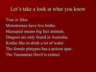 Let’s take a look at what you know True or false Monotremes have live births. Marsupial means big feet animals. Dingoes are only found in Australia. Koalas like to drink a lot of water. The female platypus has a poison spur. The Tasmanian Devil is extinct. 