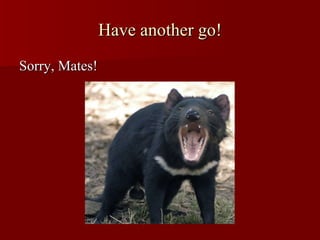 Have another go! Sorry, Mates! 