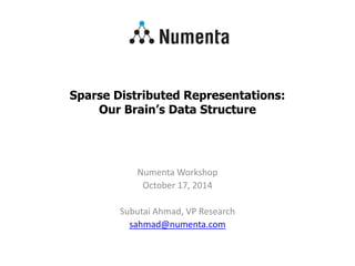 Sparse Distributed Representations:
Our Brain’s Data Structure
Numenta Workshop
October 17, 2014
Subutai Ahmad, VP Research
sahmad@numenta.com
 