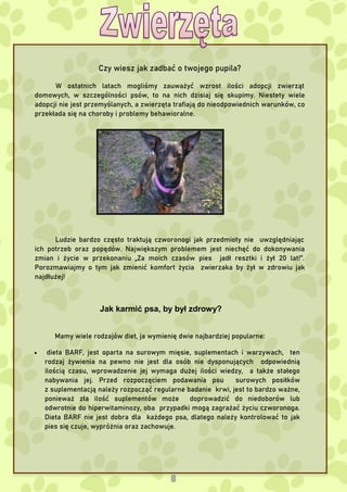 Czy wiesz jak zadbać o twojego pupila?
W ostatnich latach mogliśmy zauważyć wzrost ilości adopcji zwierząt
domowych, w szczególności psów, to na nich dzisiaj się skupimy. Niestety wiele
adopcji nie jest przemyślanych, a zwierzęta trafiają do nieodpowiednich warunków, co
przekłada się na choroby i problemy behawioralne.
Ludzie bardzo często traktują czworonogi jak przedmioty nie uwzględniając
ich potrzeb oraz popędów. Największym problemem jest niechęć do dokonywania
zmian i życie w przekonaniu „Za moich czasów pies jadł resztki i żył 20 lat!”.
Porozmawiajmy o tym jak zmienić komfort życia zwierzaka by żył w zdrowiu jak
najdłużej!
Jak karmić psa, by był zdrowy?
Mamy wiele rodzajów diet, ja wymienię dwie najbardziej popularne:
 dieta BARF, jest oparta na surowym mięsie, suplementach i warzywach, ten
rodzaj żywienia na pewno nie jest dla osób nie dysponujących odpowiednią
ilością czasu, wprowadzenie jej wymaga dużej ilości wiedzy, a także stałego
nabywania jej. Przed rozpoczęciem podawania psu surowych posiłków
z suplementacją należy rozpocząć regularne badanie krwi, jest to bardzo ważne,
ponieważ zła ilość suplementów może doprowadzić do niedoborów lub
odwrotnie do hiperwitaminozy, oba przypadki mogą zagrażać życiu czworonoga.
Dieta BARF nie jest dobra dla każdego psa, dlatego należy kontrolować to jak
pies się czuje, wypróżnia oraz zachowuje.
 
