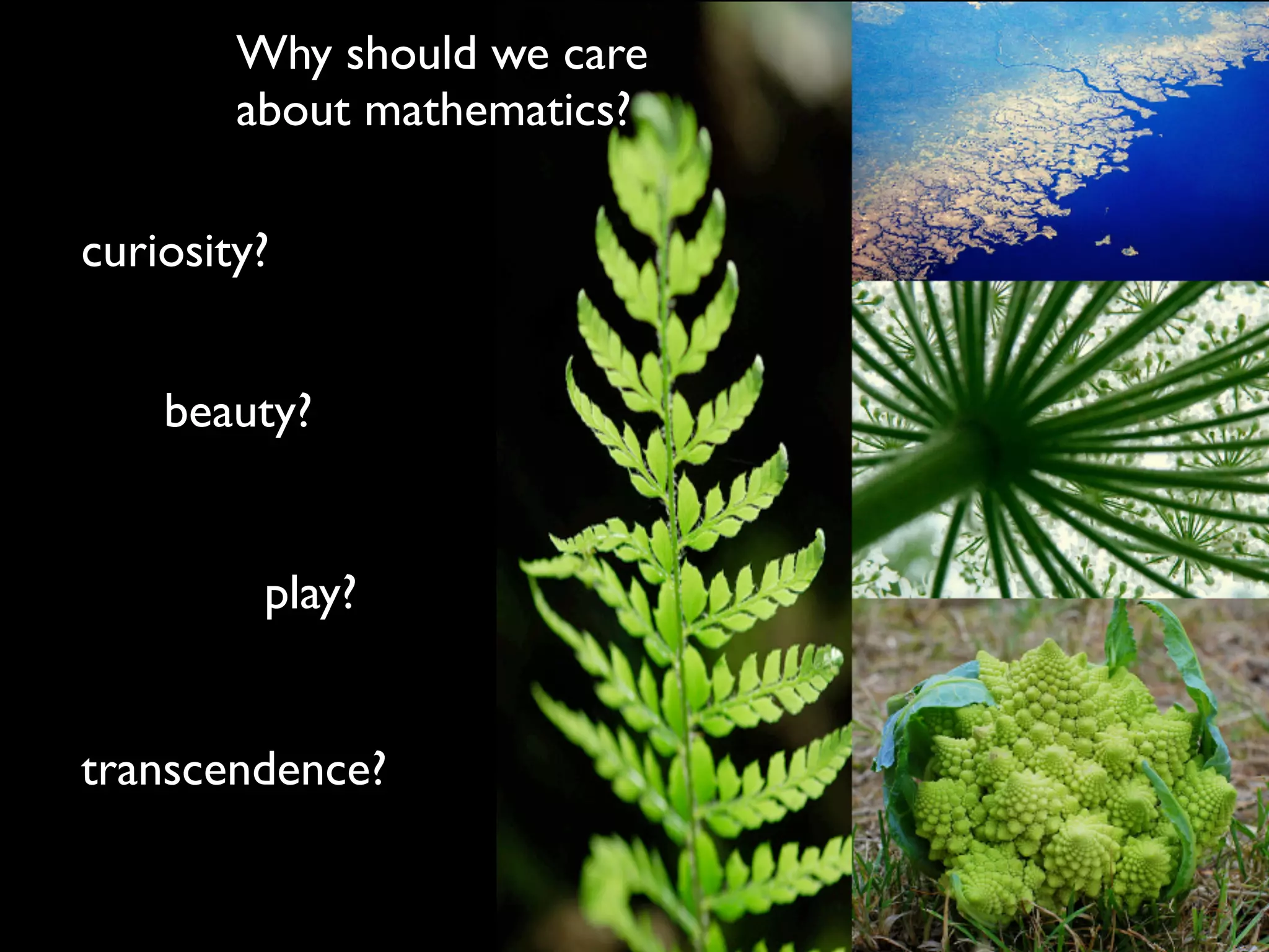 Numeracy Across the Curriculum v2.0