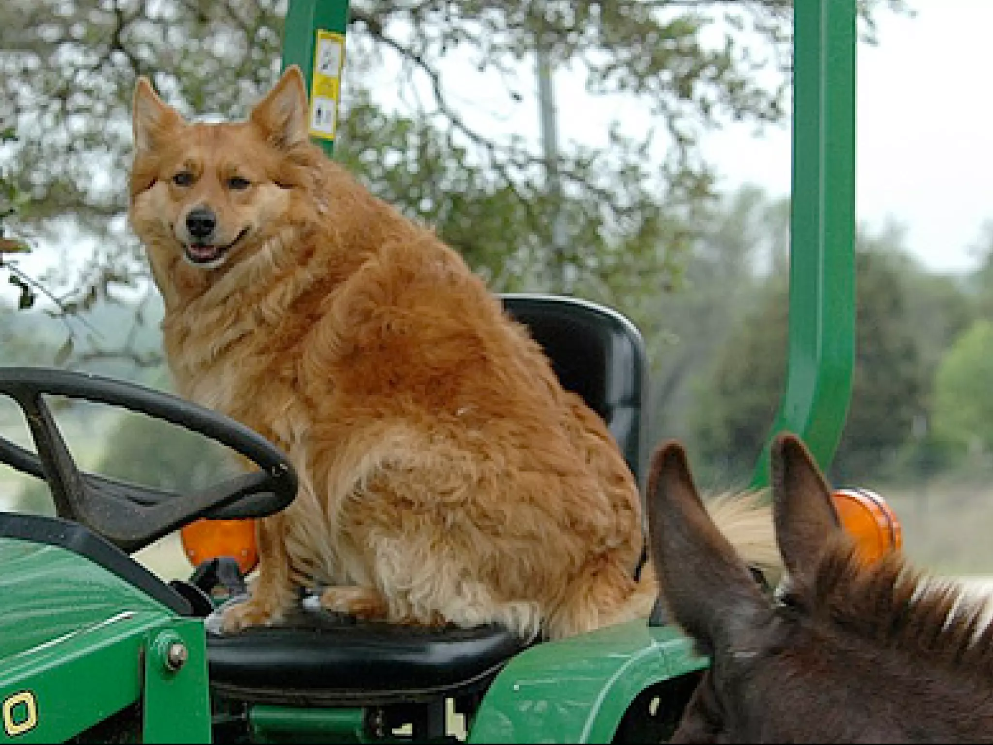 Numeracy Across the Curriculum v2.0