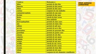 PROF. ADRIANA
CHRISTINNE
 