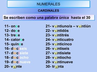 NUMERALESNUMERALES
CARDINALES
11- once
12- doce
13- trece
14- catorce
15- quince
16- dieciseis
17- diecisiete
18- dieciocho
19- diecinueve
20- veieinte
Se escriben como una palabra única hasta el 30Se escriben como una palabra única hasta el 30
21- veieintiuno/a – veieintiún
22- veieintidós
23- veieintitrés
24- veieinticuatro
25- veieinticinco
26- veieintiseis
27- veieintisiete
28- veieintiocho
29- veieintinueve
30- treieinta
 