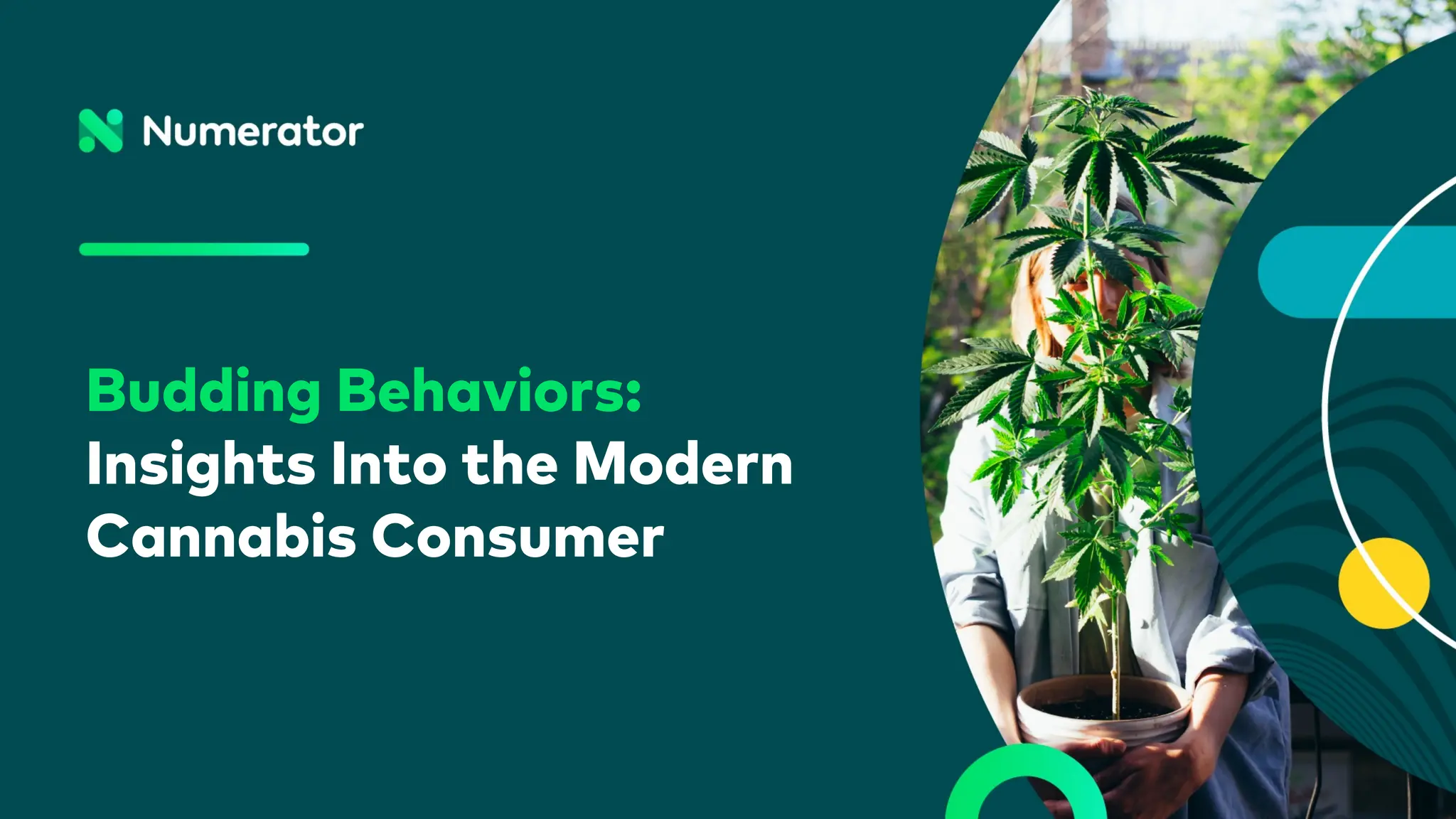 2024 Numerator Consumer Study of Cannabis Usage PPT
