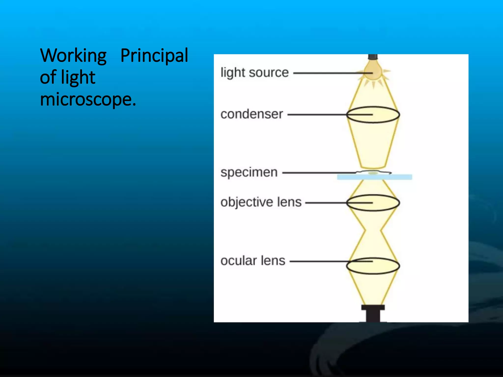 Numerical aperture and limits of resolution of microscope PPT