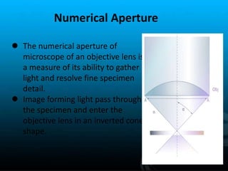 Numerical aperture and limits of resolution of microscope | PPTX