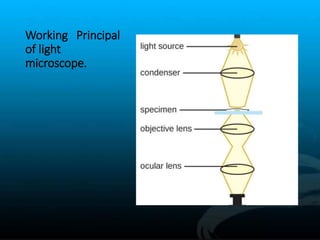 Numerical aperture and limits of resolution of microscope | PPTX