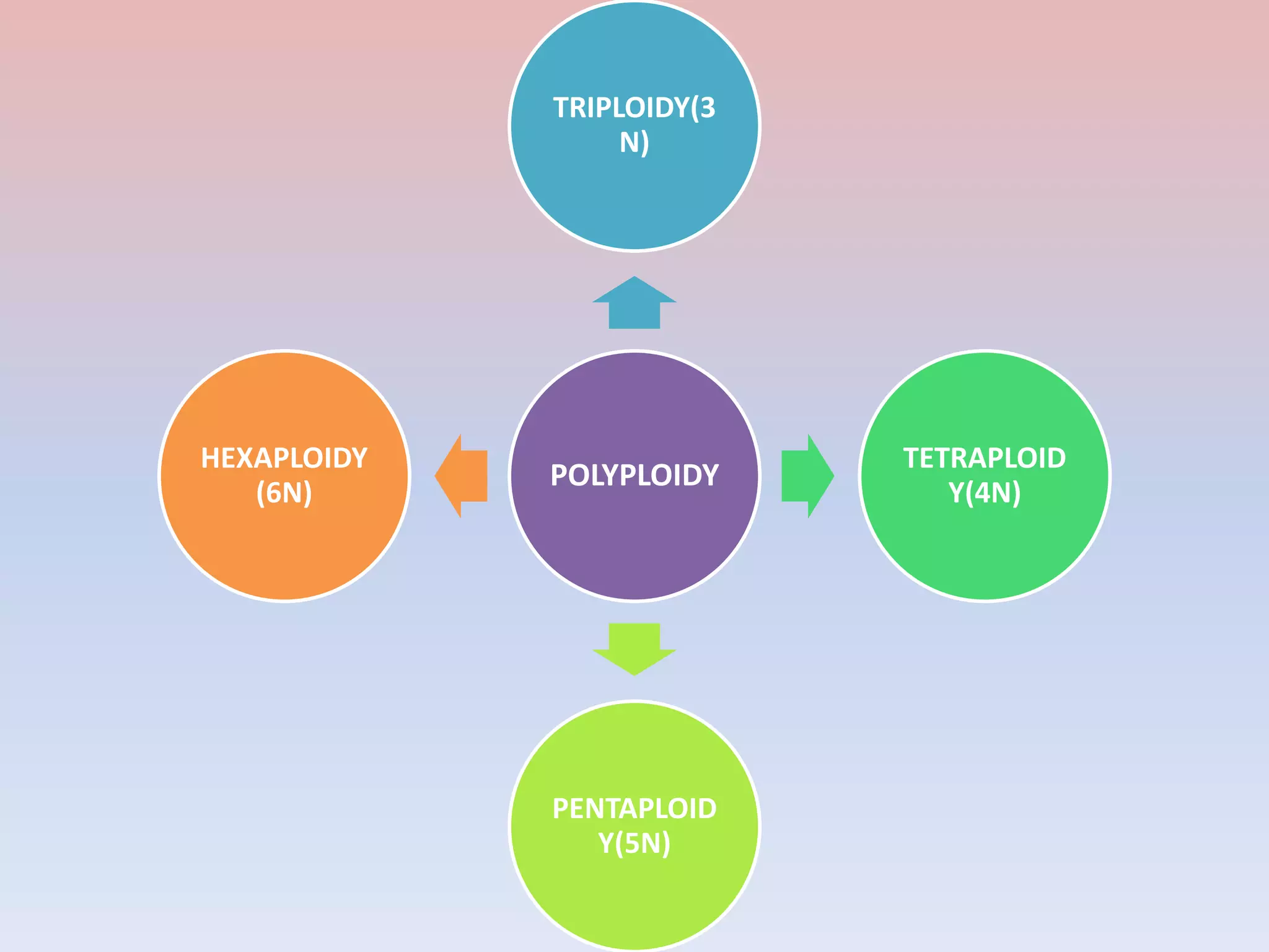 POLYPLOIDY
TRIPLOIDY(3
N)
TETRAPLOID
Y(4N)
PENTAPLOID
Y(5N)
HEXAPLOIDY
(6N)
 