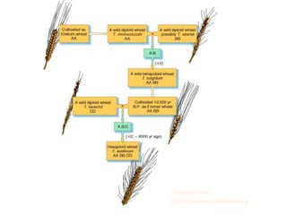 Diagram from
https://www.pathwayz.org
 