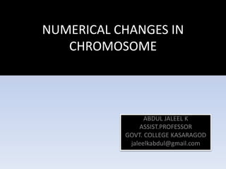 NUMERICAL CHANGES IN
CHROMOSOME
ABDUL JALEEL K
ASSIST.PROFESSOR
GOVT. COLLEGE KASARAGOD
jaleelkabdul@gmail.com
 