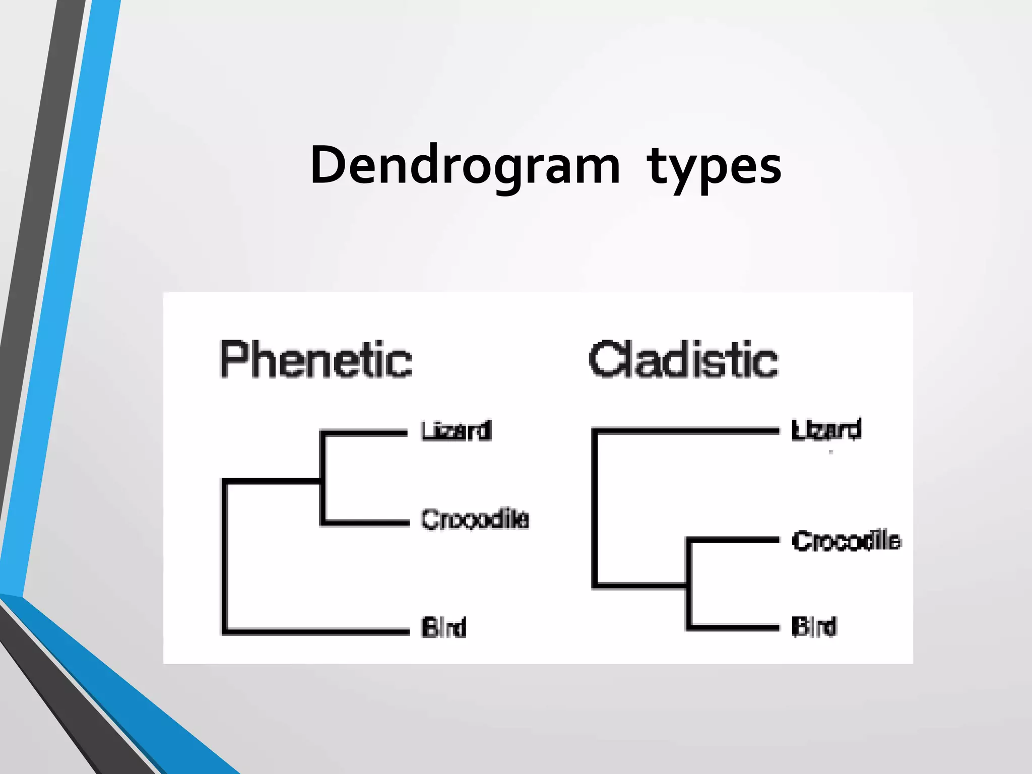 Dendrogram types
 